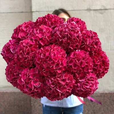 19 нежных гортензий