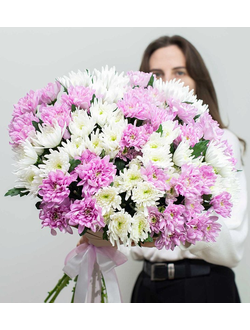 Хризантема кустовая