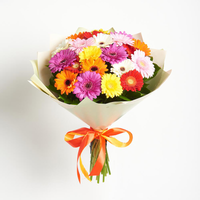 21 мини гербера