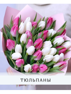 Тюльпаны