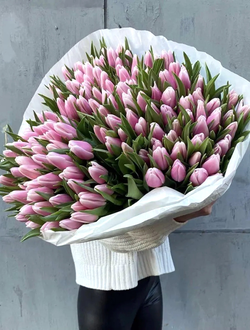 Букет из 151 тюльпана (цвет на выбор)