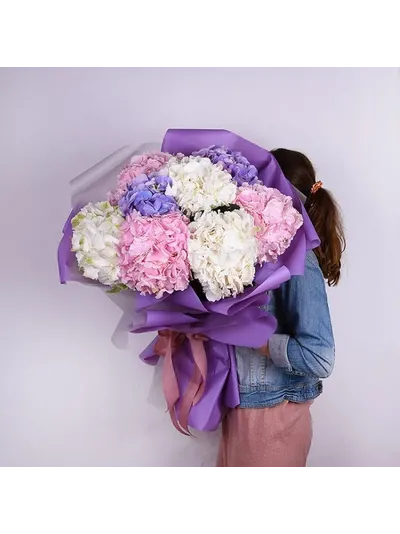 Микс из 7 гортензий