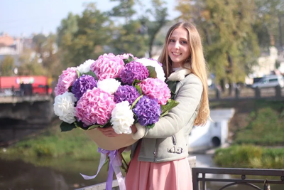 19 нежных гортензий