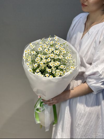 Охапка ромашек S