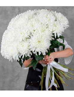 БУКЕТ ИЗ 19 ШАРООБРАЗНЫХ ХРИЗАНТЕМ