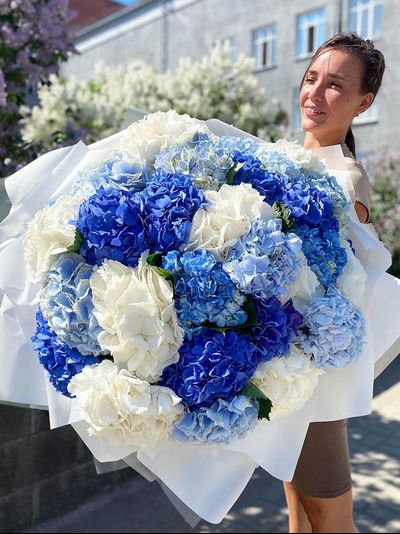 Микс из 31 гортензии