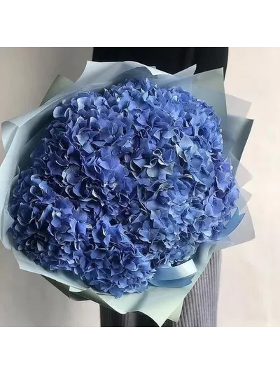 9 синих гортензий