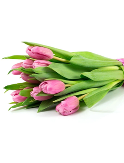 11 тюльпанов