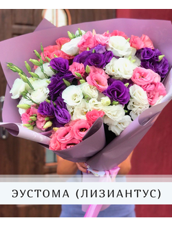 Эустома/лизиантус