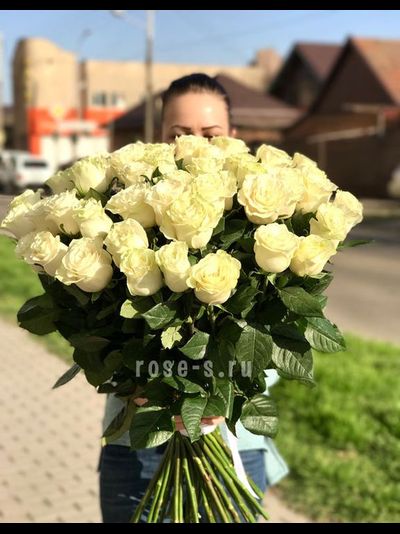 Букет "Нежные чувства" из 49 голландских роз
