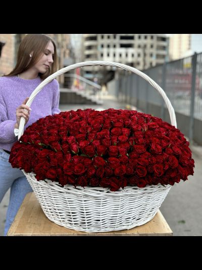 501 красная роза в корзине