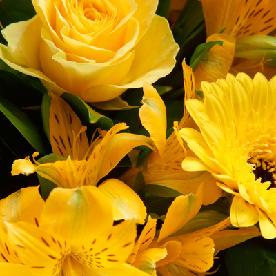 Желтый букет