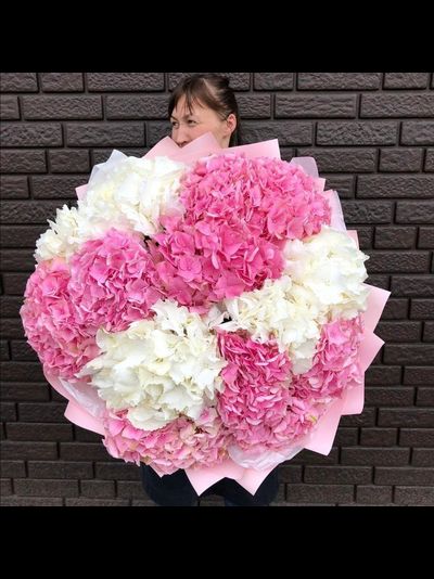 15 бело-розовых гортензий